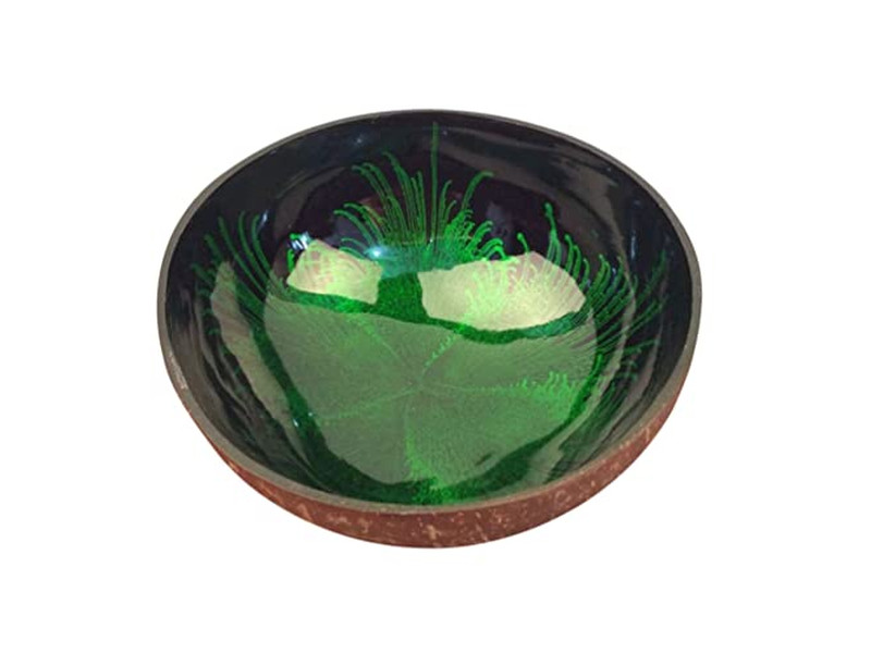 क्लस्टर सर्विंग कटोरा नारियल सेट 4 पॉलिश थाईलैंड प्रीमियम कटोरे मूल