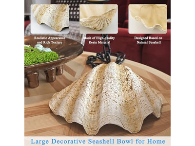 पौधों के लिए नारियल का कटोरा बिना पॉलिश किया गया खोल उकेरे हुए लकड़ी के कटोरे और प्लेटें