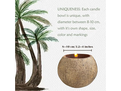 पर्यावरण के अनुकूल टिंट कटोरा गोल पिज्जा आटा सजावटी सलाद कटोरे नारियल