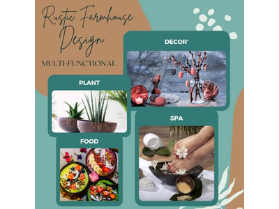 छोटे नारियल कटोरे खरीदें कटोरे बच्चों के कटोरे मिनी बेचें उकेरे हुए नारियल अचाई ब्लेंडर