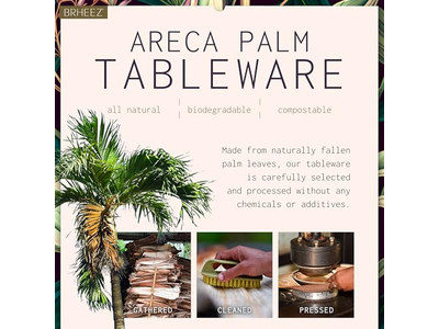 शाकाहारी नारियल के खोल का कटोरा धारक के साथ प्राकृतिक लॉग सस्ते मूल्य के कटोरे वियतनाम में